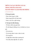 NHỮNG TAI NẠN THƯỜNG XẢY RA TRONG TRƯỜNG MẦM NON NGUYÊN NHÂN VÀ GIẢI PHÁP ĐỀ PHÒNG potx