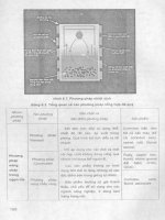 Các phương pháp giám định đá quý part 8 pps