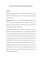 ĐIỀU TRỊ GÃY SÀN HỐC MẮT KẾT HỢP LÓT CHỖ GÃY pps