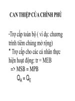 quá trình hình thành vai trò của chính phủ trong nền kinh tế thị trường p8 pps