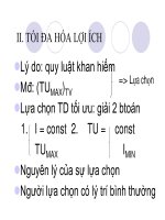 quá trình hình thành quy trình lý thuyết người tiêu dùng trong cung cầu p6 pptx