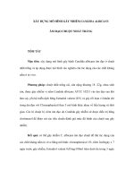 XÂY DỰNG MÔ HÌNH GÂY NHIỄM CANDIDA ALBICANSÂM ĐẠO CHUỘT NHẮT TRẮNG pot