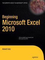 beginning microsoft excel 2010