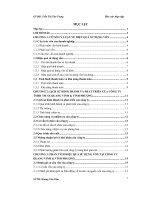 Phân tích hiệu quả sử dụng vốn của công ty TNHH thương mại sản xuất Quang Vinh và Vinh Phượng
