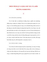 PHÂN TÍCH LỰC LƯỢNG CHỦ YẾU CỦA MÔI TRƯỜNG MARKETING 5 pdf
