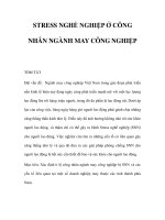 STRESS NGHỀ NGHIỆP Ở CÔNG NHÂN NGÀNH MAY CÔNG NGHIỆP pptx