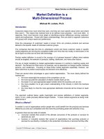 Định nghĩa thị trường là một quá trình Multi-Dimensional doc