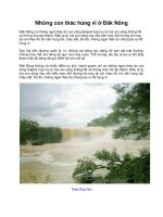 Những con thác hùng vĩ ở Đăk Nông pdf