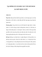 TẠO HÌNH GÃY SÀN HỐC MẮT VỚI CHẾ PHẨM SAN HÔ TRONG NƯỚC potx