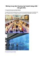 Những trung tâm thương mại hoành tráng nhất thế giới (P2) doc
