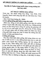 Kỹ thuật trồng và ghép hoa hồng part 8 pps