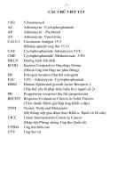 Nghiên cứu hiệu quả hóa trị bổ trợ trước phẫu thuật phác đồ AP trong ung thư vú giai đoạn III