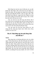 Hỏi đáp kỹ thuật nuôi trồng hoa và cây cảnh tập 2 part 5 doc