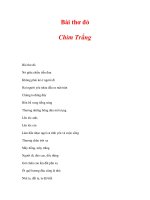 Bài thơ đỏ Chim Trắng ppt