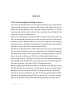 Nghiên cứu các vấn đề kỹ thuật công nghệ bản chất của ENUM  Hệ thống đánh số điện tử