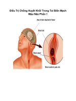 Điều Trị Chống Huyết Khối Trong Tai Biến Mạch Máu Não Phầ n 1 ppsx