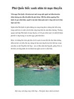 Phú Quốc biếc xanh nhìn từ mạn thuyền ppt