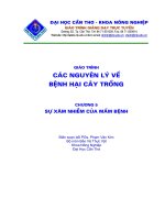 Giáo trình các nguyên lý về bệnh hại cây trồng -chương 5 ppsx