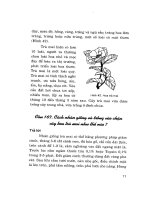 Hỏi đáp kỹ thuật nuôi trồng hoa và cây cảnh tập 3 part 3 pptx