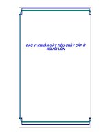 CÁC VI KHUẨN GÂY TIÊU CHẢY CẤP Ở NGƯỜI LỚN pptx