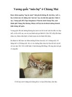 Vương quốc “mèo bự” ở Chiang Mai potx