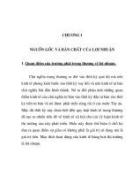 Luận văn: Lợi nhuận và vấn đề lạm phát phần 1 ppt