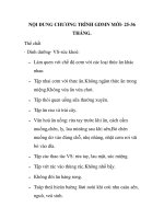 NỘI DUNG CHƯƠNG TRÌNH GDMN MỚI- 25-36 THÁNG doc