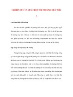 NGHIÊN CỨU VÀ LỰA CHỌN THỊ TRƯỜNG MỤC TIÊU 7 pps