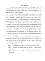 thực trạng tổ chức công tác kế toán tại c«ng ty cổ phần thương mại mạnh toàn