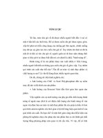 quá trình hình thành khảo sát ảnh hưởng của chất phụ gia p1 pptx