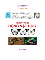 Giáo trình động vật học part 1 ppt