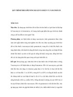 QUY TRÌNH THEO DÕI NỒNG ĐỘ GENTAMICIN VÀ VANCOMYCIN potx