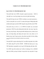 VI KHUẨN GÂY VIÊM PHỔI BỆNH VIỆN doc