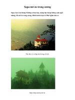 Sapa mờ ảo trong sương docx