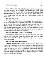 Xương rồng bát tiên : Kỹ thuật trồng và phương pháp lai tạo part 5 pdf