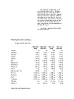 quá trình hình thành từ điển thảo mộc dược học p8 doc