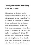 Thành phần các chất dinh dưỡng trong quả cà chua doc