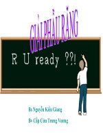 Bài giảng: Giải phẫu răng pot