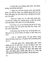 Kỹ thuật trồng và ghép sứ Thái nhiều màu part 8 pdf