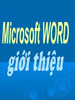 MS-Word-UNI chung chi A tin hoc potx