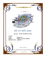 Đồ Án Tốt Nghiệp - Mạng Di Động CDMA
