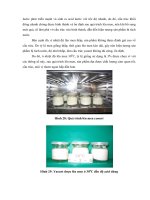 quá trình chế biến yaourt trái cây từ sữa bò tươi p7 doc