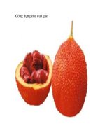 Công dụng của quả gấc ppt