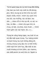 Vai trò quan trọng của rau tươi trong dinh dưỡng pptx