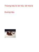 Thương hiệu là văn hóa, văn hóa là thương hiệu ppsx