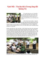 Vịnh Mốc - Tòa lâu đài cổ trong lòng đất Quảng Trị pot