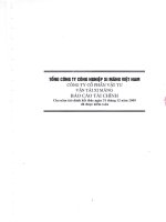 tổng công ty công nghiệp xi măng việt nam công ty cổ phần vicem vật tư vận tải xi măng báo cáo tài chính cho năm tài chính kết thúc ngày 31 tháng 12 năm 2009 đã được kiểm toán