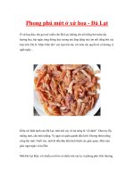 Phong phú mứt ở xứ hoa - Đà Lạt pptx