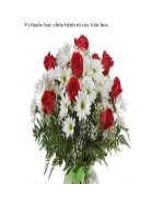 Vị thuốc hay chữa bệnh từ các loài hoa pot