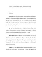 CHỐNG Ô NHIỄM TIẾNG ỒN VÀ ĐIẾC NGHỀ NGHIỆP pps